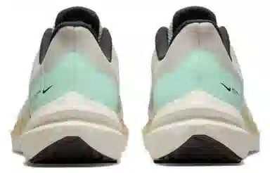 Nike Zoom Winflo 9 White Green