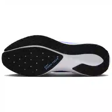 Nike Pegasus 41 GORE-TEX