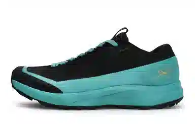 Arcteryx Aerios Fl 2 GTX 811