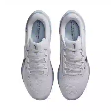 Nike Pegasus 41 White Grey