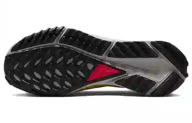 Nike Pegasus Trail 4 Blue