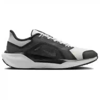 Nike Pegasus 41 GORE-TEX