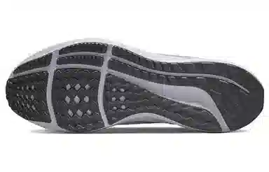 Nike Air Zoom Pegasus 39 White Grey