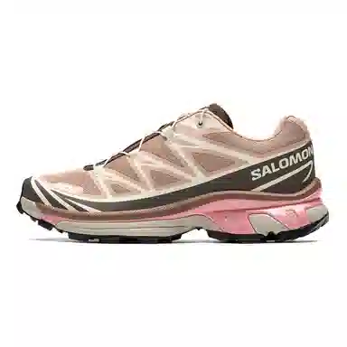 Salomon XT-6 Pink Brown