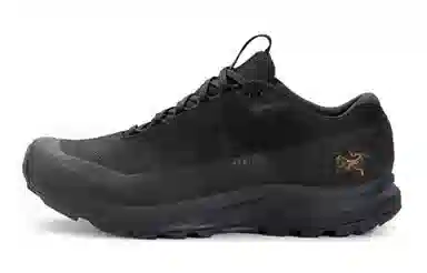 Arcteryx Aerios Fl 2 GTX 811