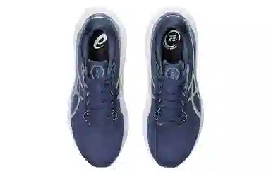 Asics Gel-Kayano 30 Blue