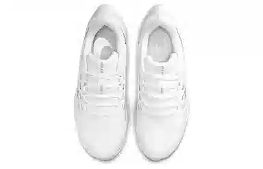 Nike Pegasus 38 White Silver
