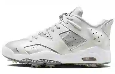 Jordan Air Jordan 6 Golf Silver