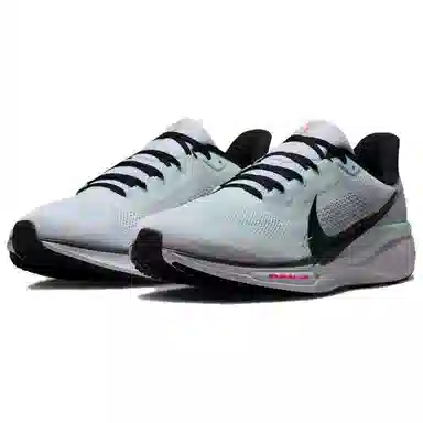 Nike Air Zoom Pegasus 41