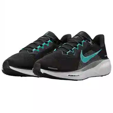Nike Pegasus 41
