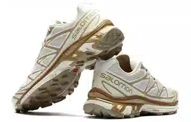 Salomon XT-6