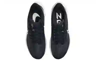 Nike Air Zoom Pegasus 39