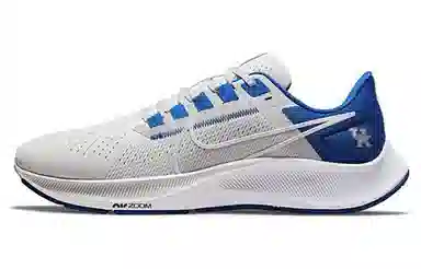 Nike Air Zoom Pegasus 38 "Kentucky"