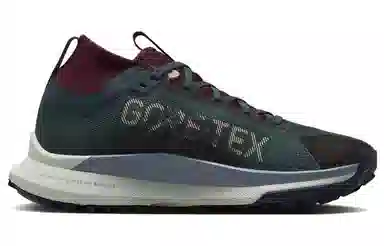 Nike Pegasus Trail 4 GORE-TEX