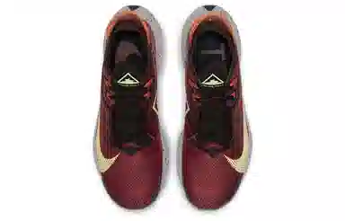 Nike Pegasus Trail 2