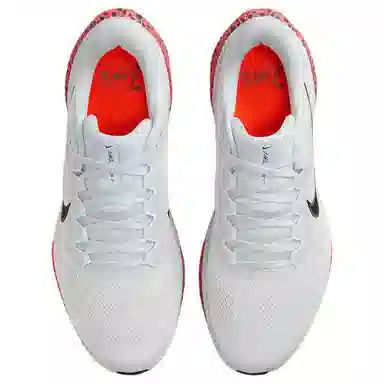 Nike Pegasus 41 "Safari"