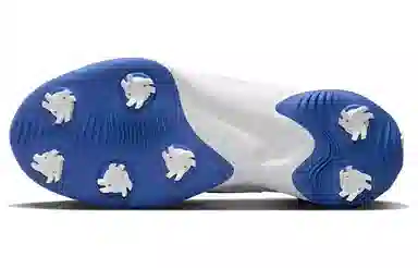 Nike Golf Shoes White Blue