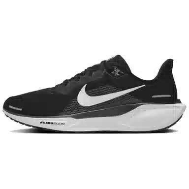 Nike Pegasus 41 Black