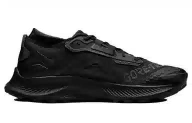 Nike Pegasus Trail 3 Gore-Tex Black