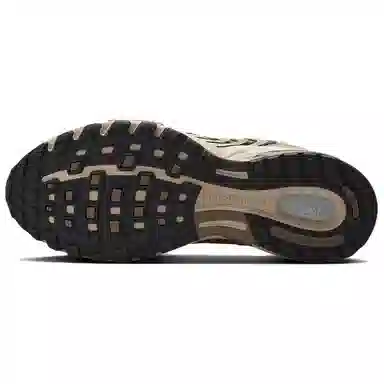 Nike Air Pegasus 2005 Brown