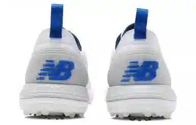 New Balance Fresh Foam X 2500 v4