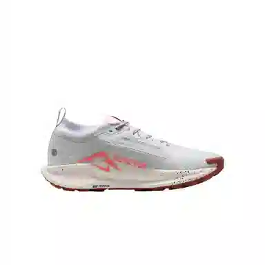 Nike Pegasus Trail 5 White