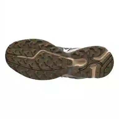 Salomon XT-Whisper Silver