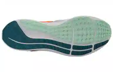 Nike Zoom Pegasus FlyEase