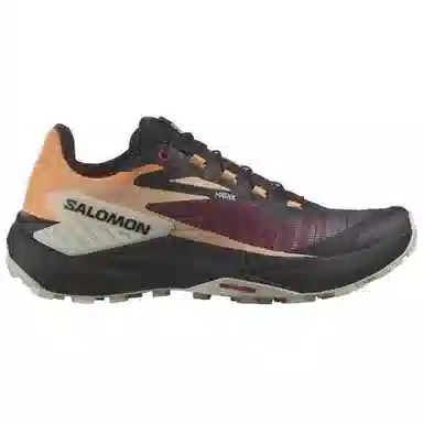 SALOMON Genesis