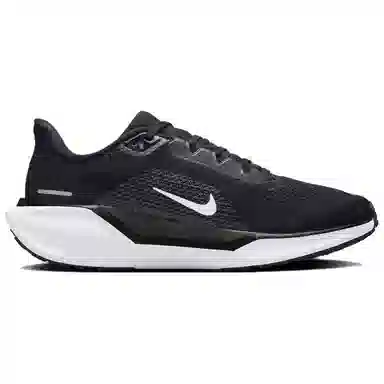 Nike Pegasus 41 Black White