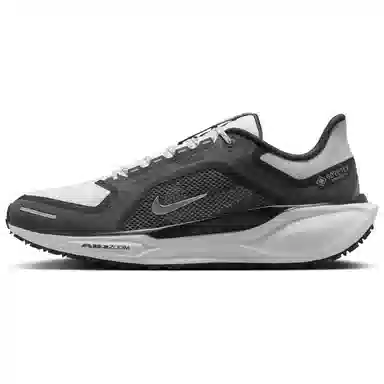 Nike Pegasus 41 GORE-TEX
