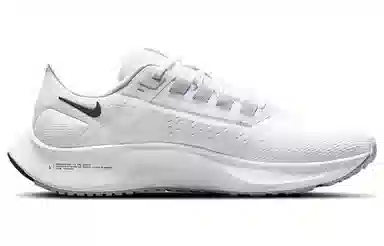 Nike Pegasus 38 White