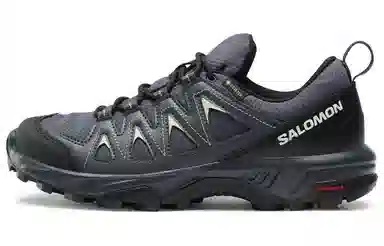 Salomon X Braze GTX