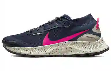 Nike Pegasus Trail 3 GTX