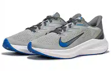 Nike Zoom Winflo 7