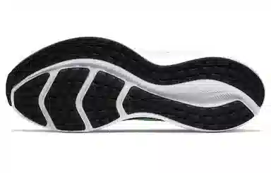 Nike Downshifter 10