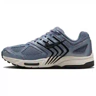 Nike Air Pegasus 2005 Blue