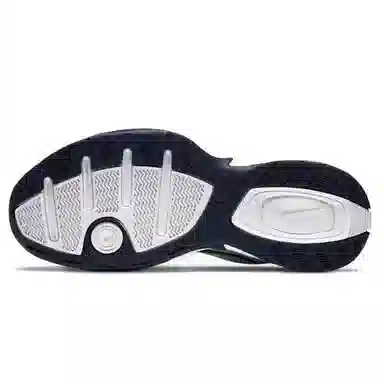 Nike Air Monarch 4 Blue White
