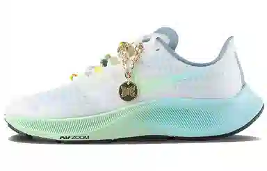 Nike Pegasus 37 White Blue