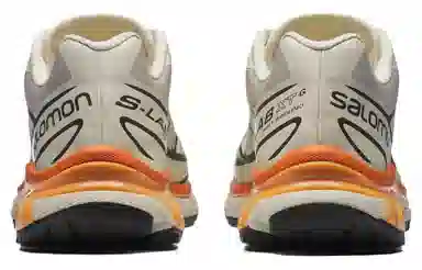 Salomon XT-6