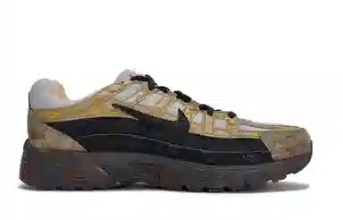Nike P-6000
