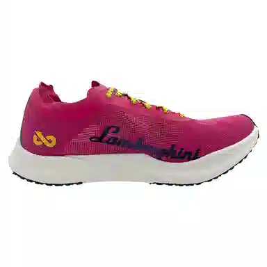 Automobili Lamborghini x Pao Yanshao Zhuangyuan 100pro 4.0