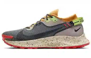 Nike Pegasus Trail 2 GORE-TEX