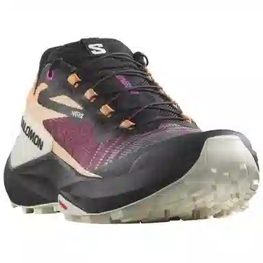 SALOMON Genesis