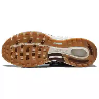 Nike Air Pegasus 2005 SE