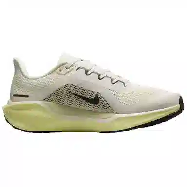 Nike Air Zoom Pegasus 41 White Black