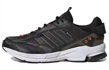 adidas Spiritain 2000 GTX Black