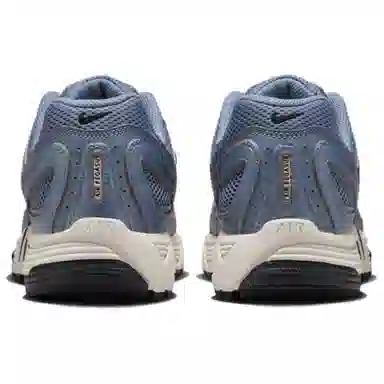 Nike Air Pegasus 2005 Blue