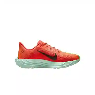 Nike Pegasus Plus Deep Red