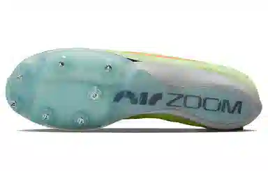 Nike Air Zoom Maxfly Low
